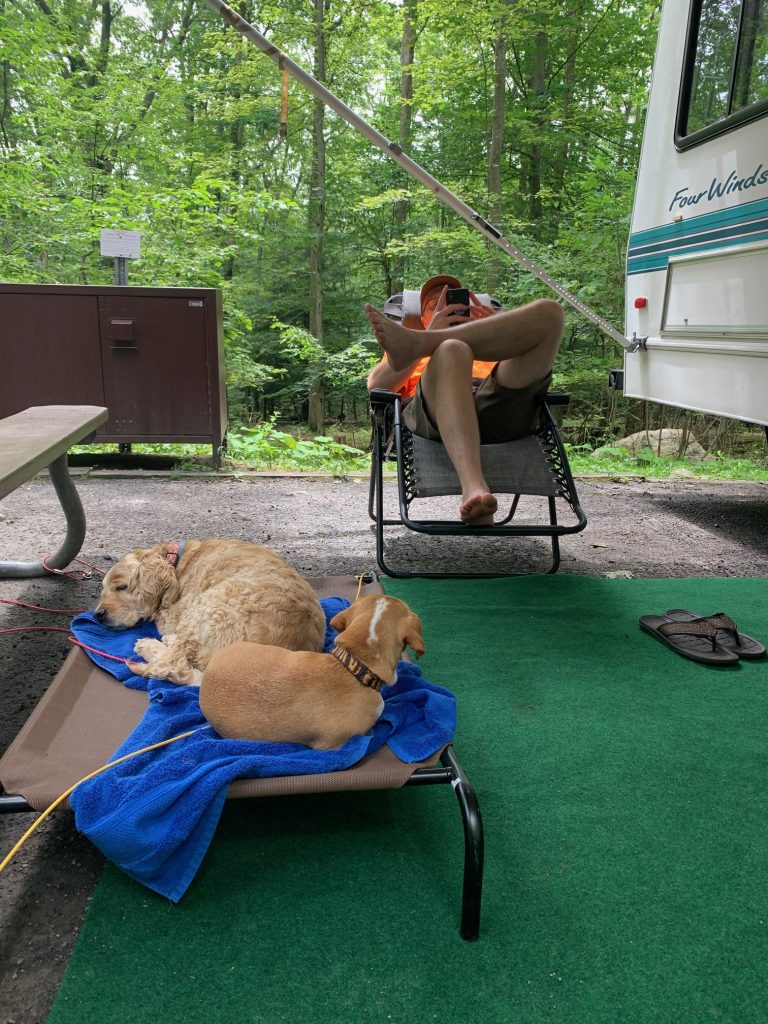 dog tie outs at campground