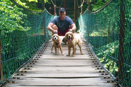 cook forest pa state park