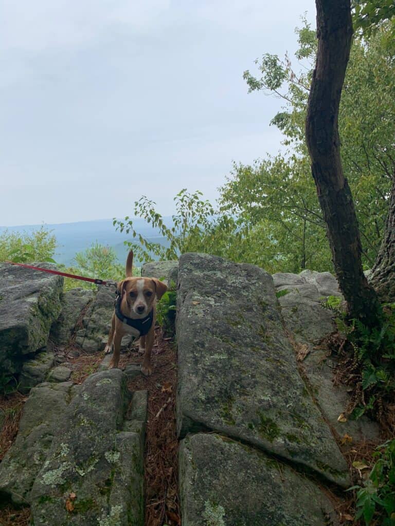 cowans gap standing stone rock scramble