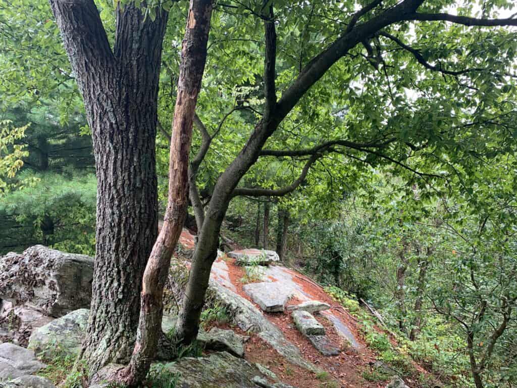 standing stone trail empty top