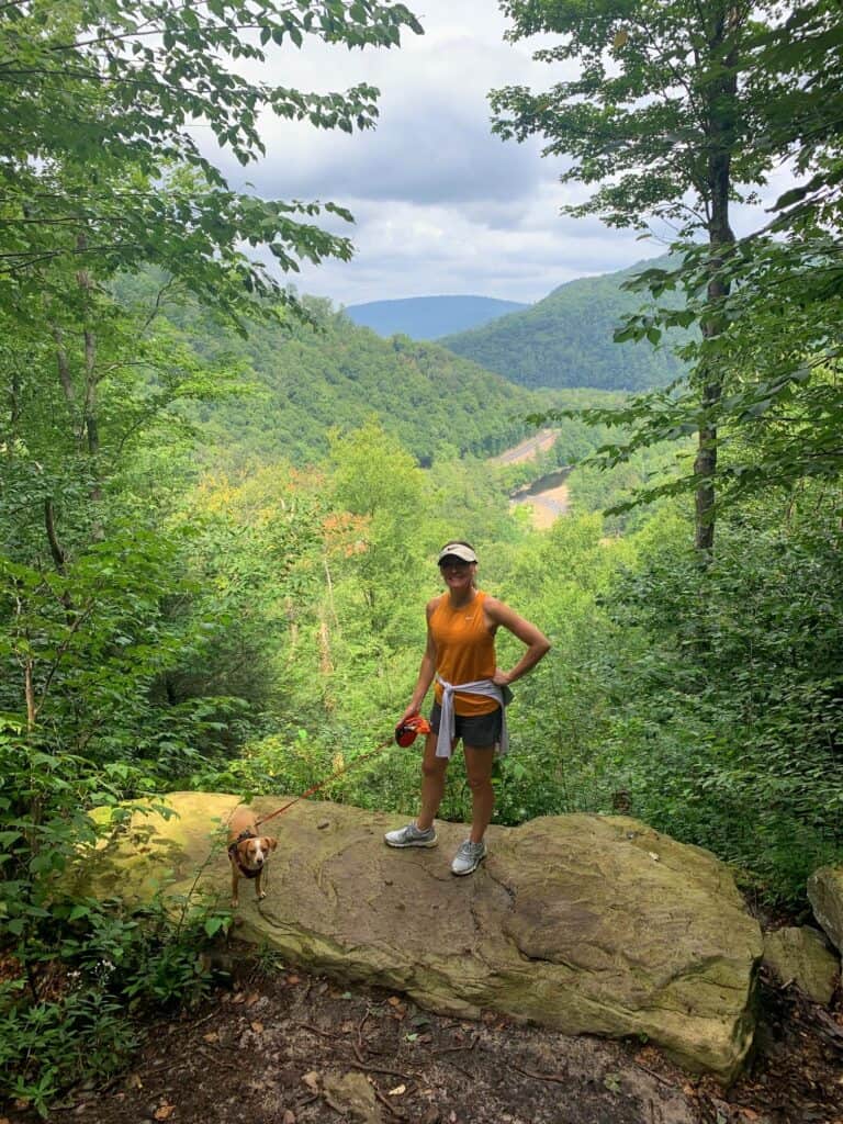 canyon vista scenic vista at worlds end state park