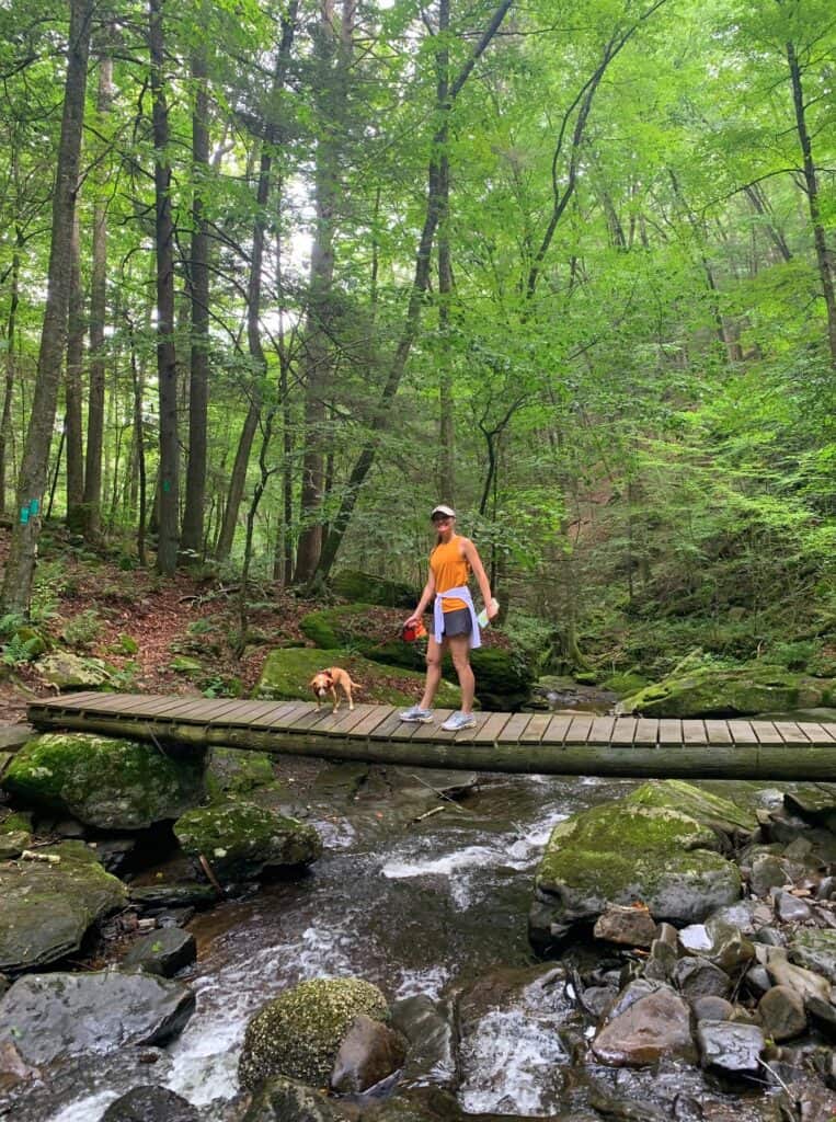 worlds end foot bridge with hazel