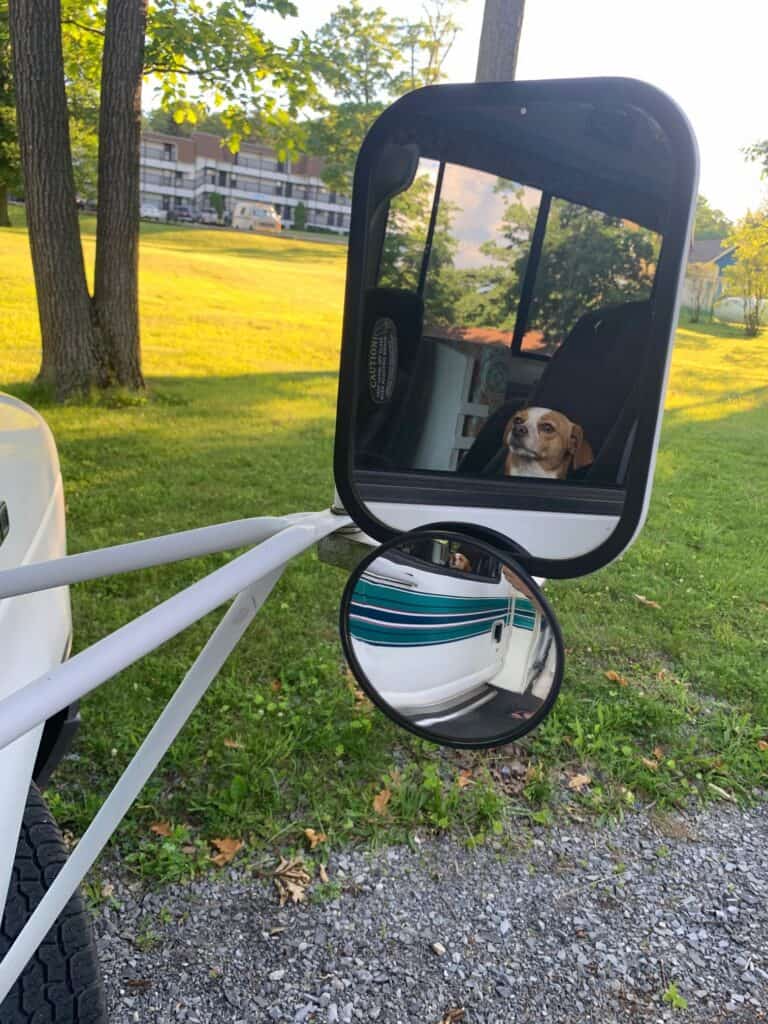 hazel in the rear view mirror at blue knob state park