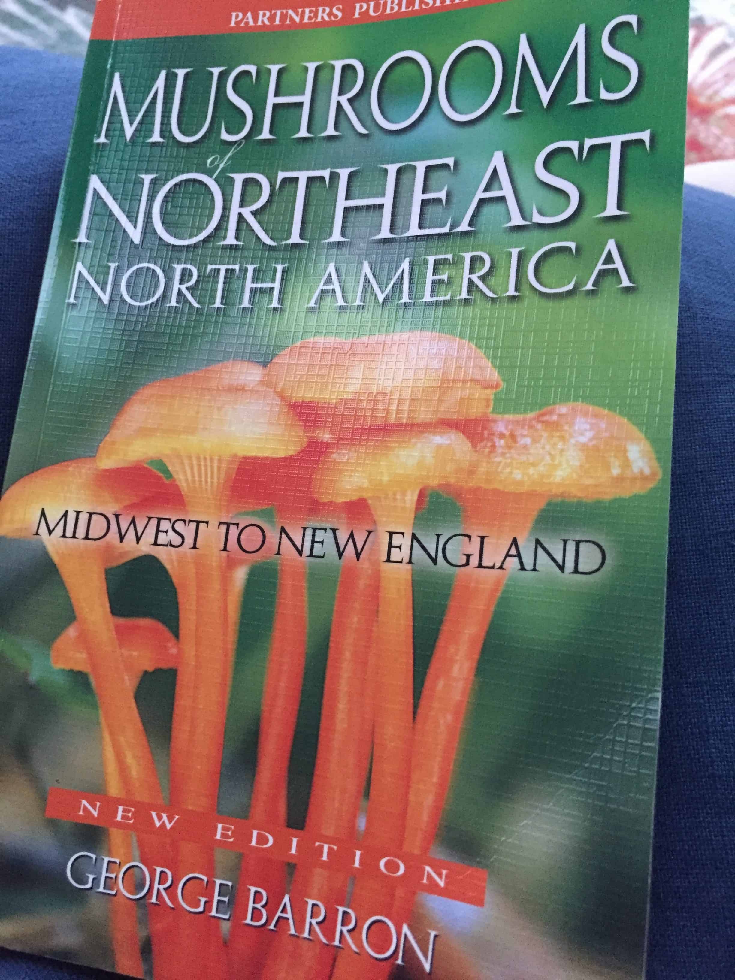 mushrooms of northeast north america