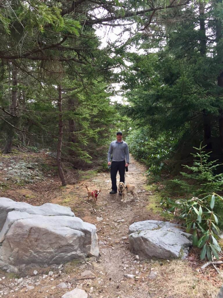 dolly sods trailhead dog hike