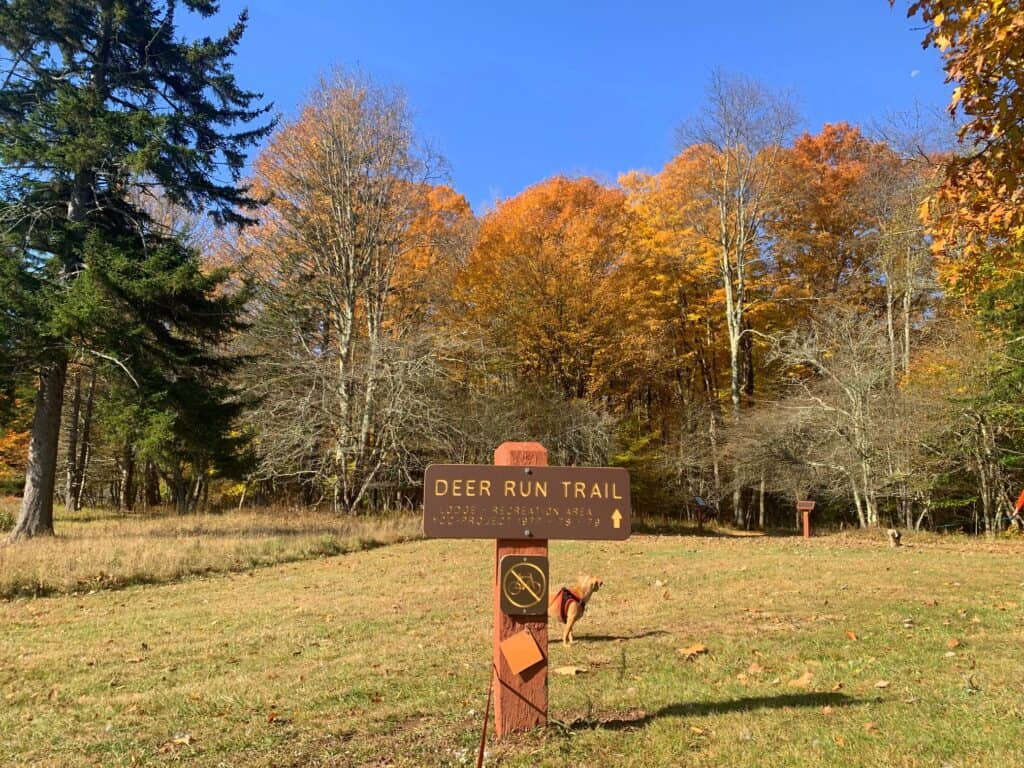 deer run trail at canaan valley state park