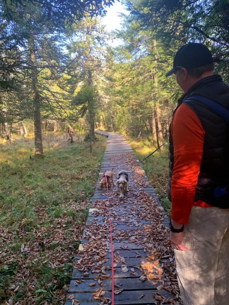 abe run trail at canaan valley state park