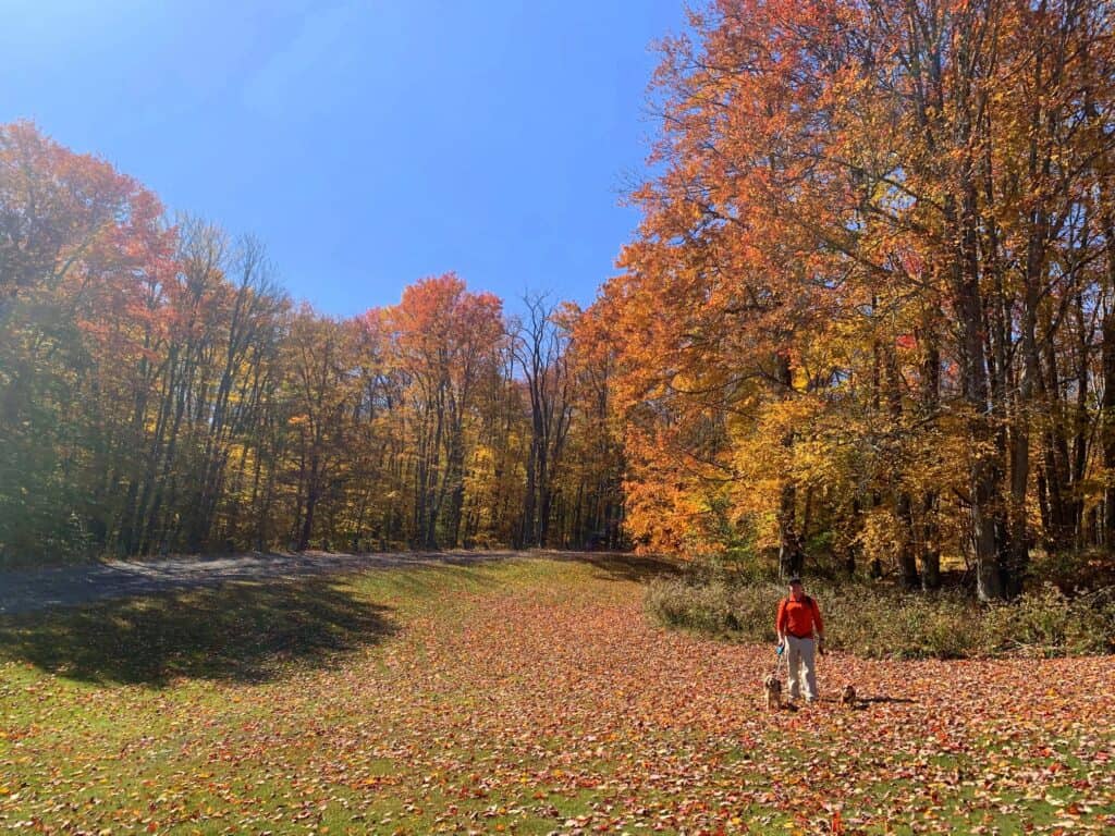 canaan valley state park fall hiking 2