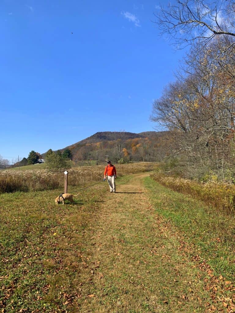 back hollow trail in canaan valley state park