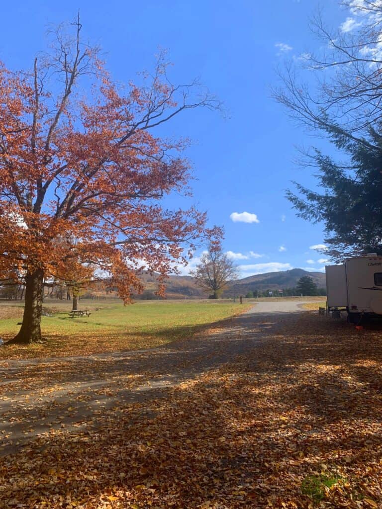 view from site 19 at canaan valley state park campground