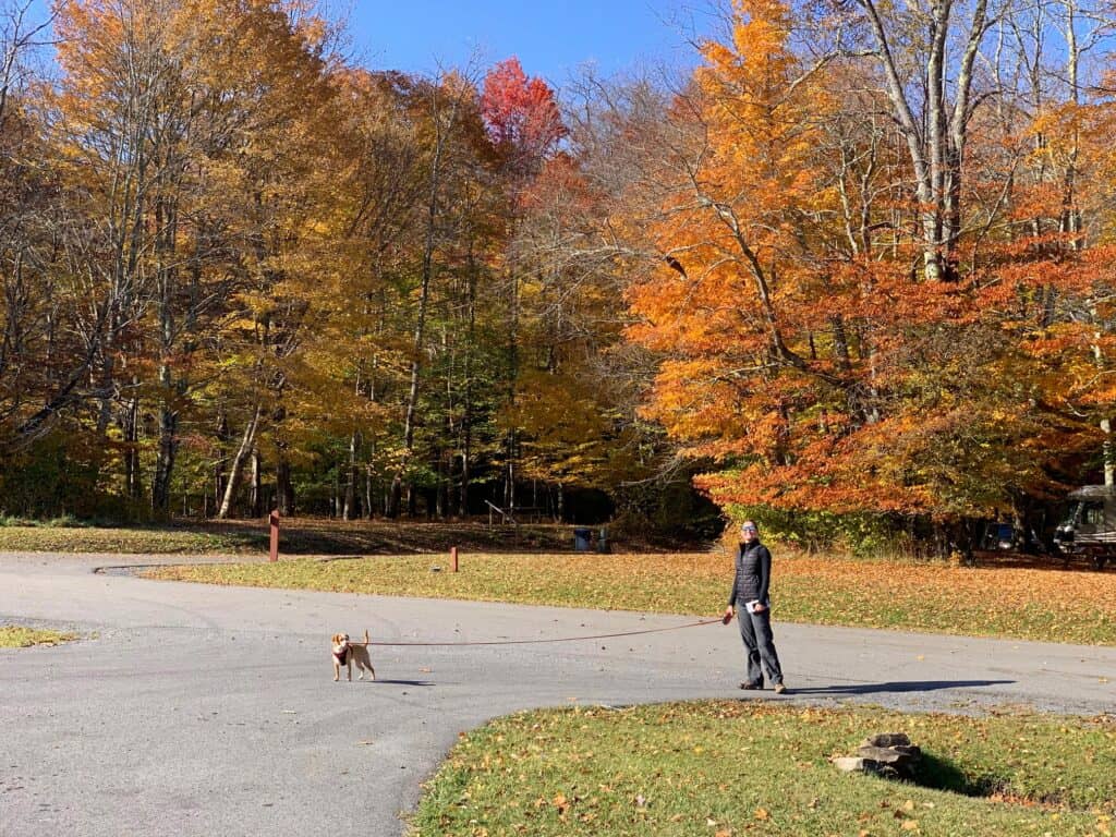 leaving canaan valley state park campground for hiking