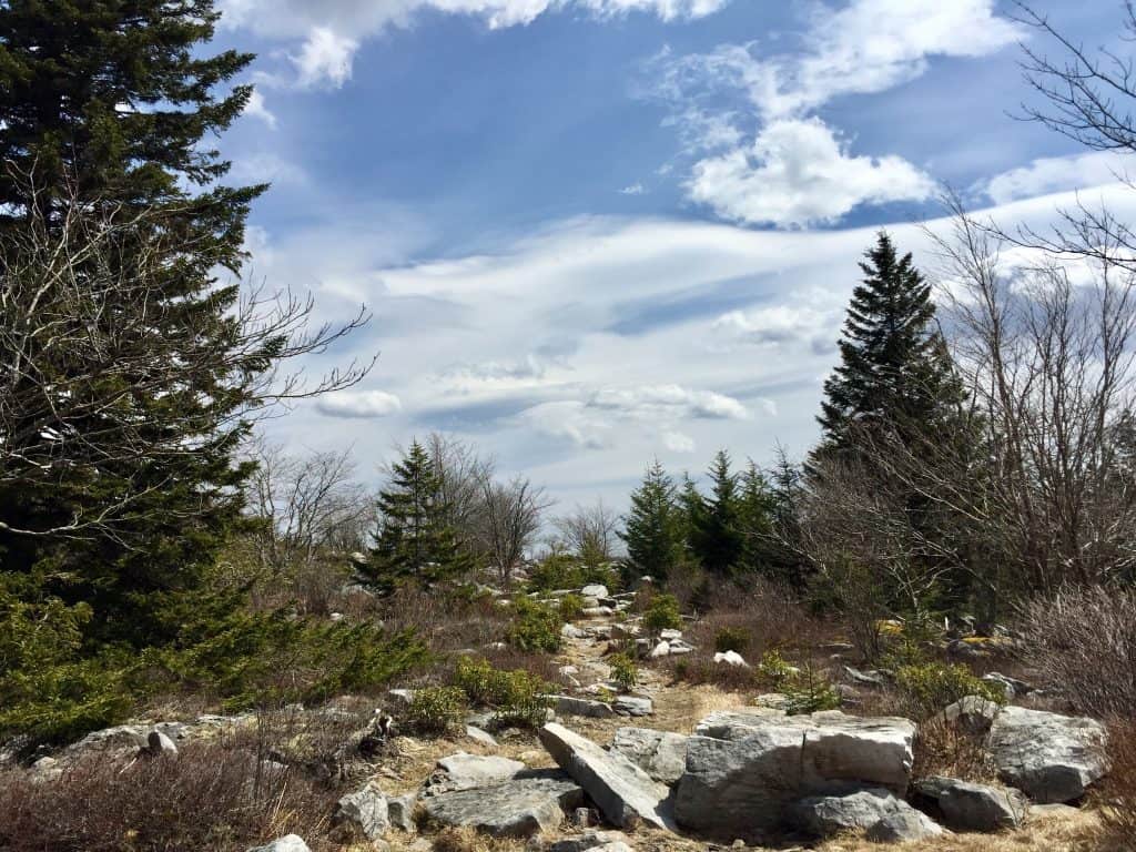 dolly sods wilderness landscape