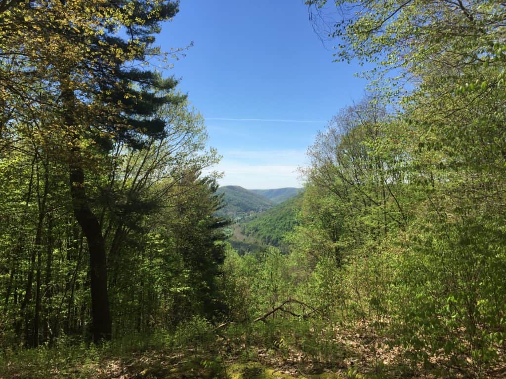 sizerville nature trail lookout