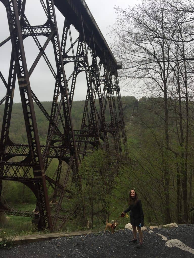 kinzua creek trail - down