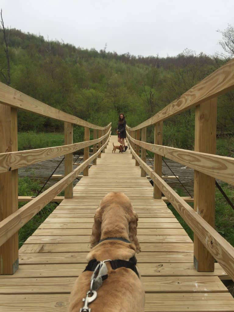 kinzua creek trail - bottom