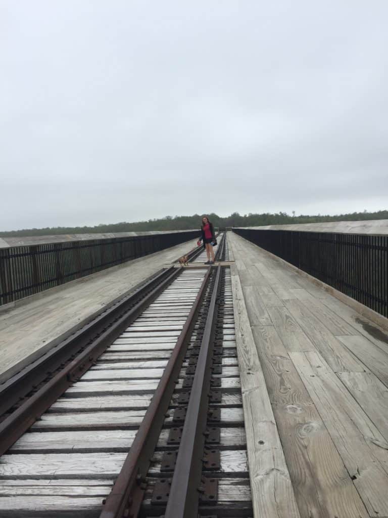 kinzua bridge sky walk