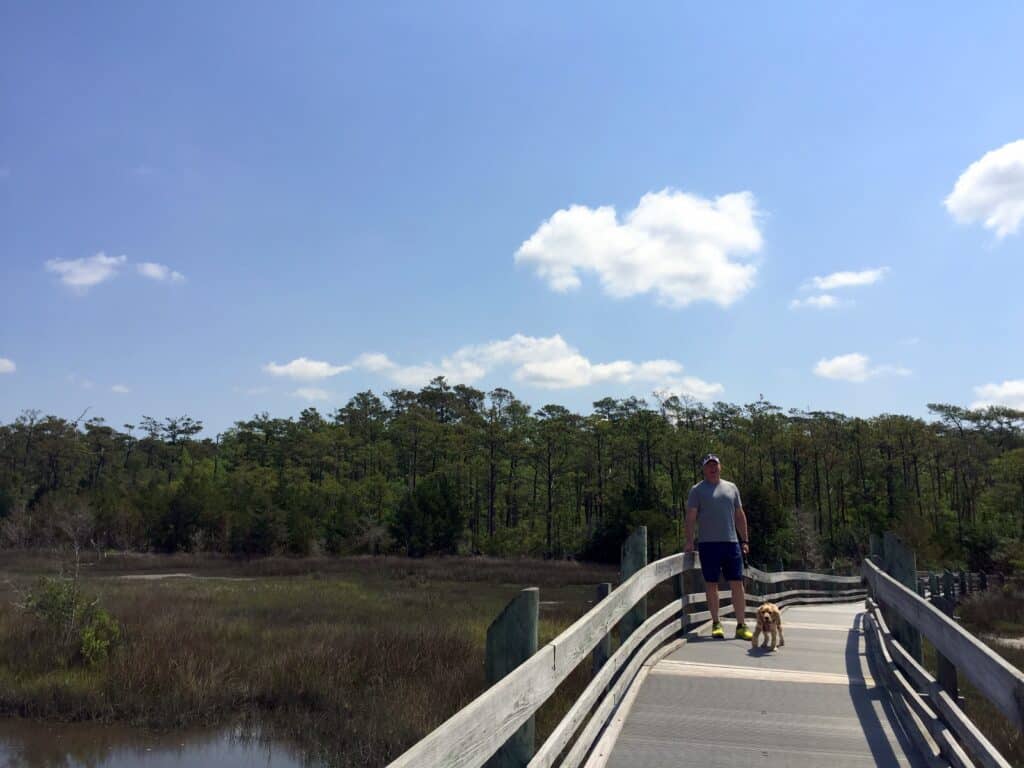 north carolina park marsh boardwalk