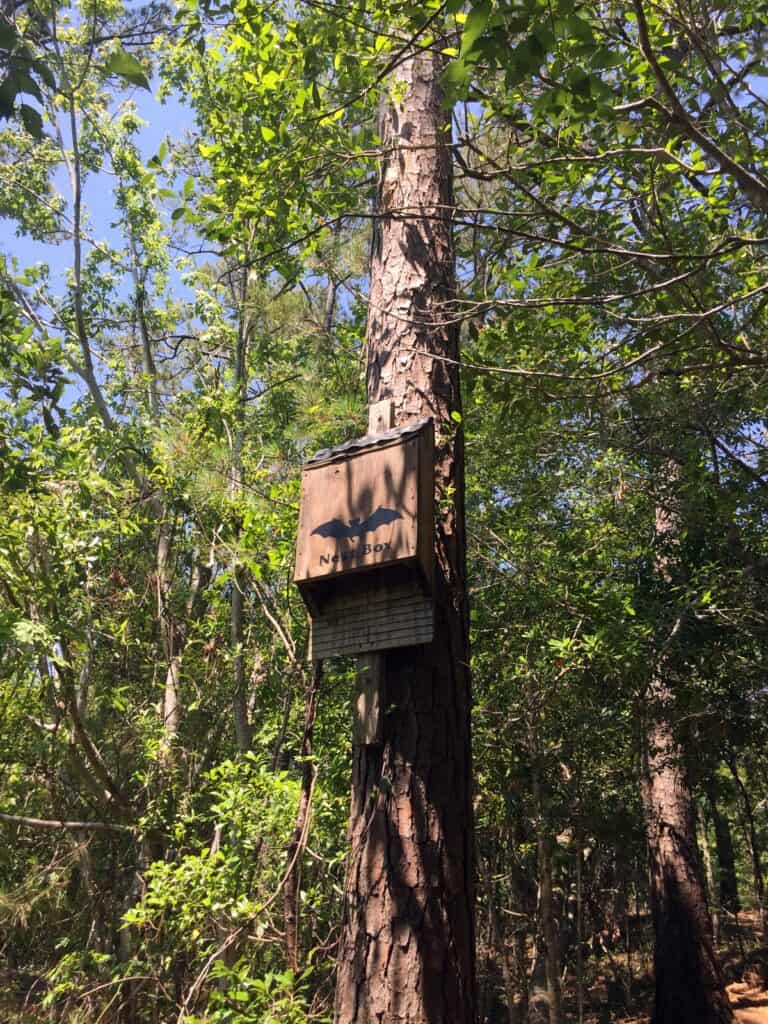 north carolina nature trail bat box