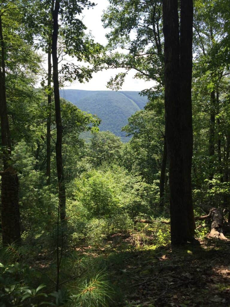 long fork loop trail overlook at hyner run state park