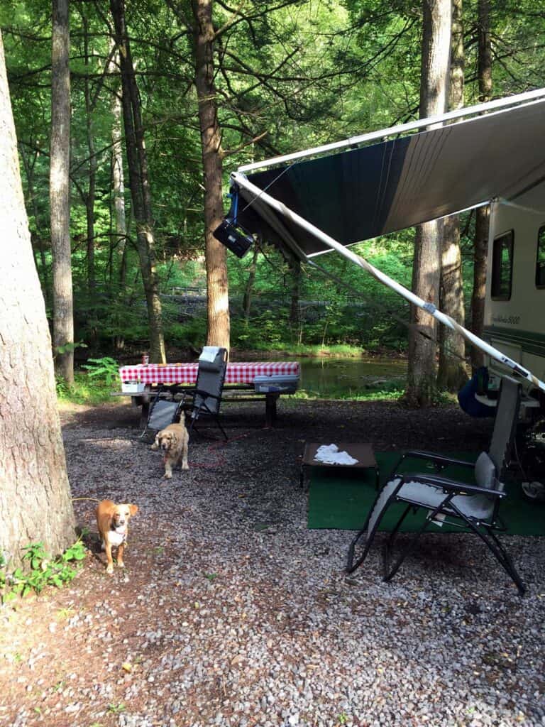 cozy campground at hyner run state park