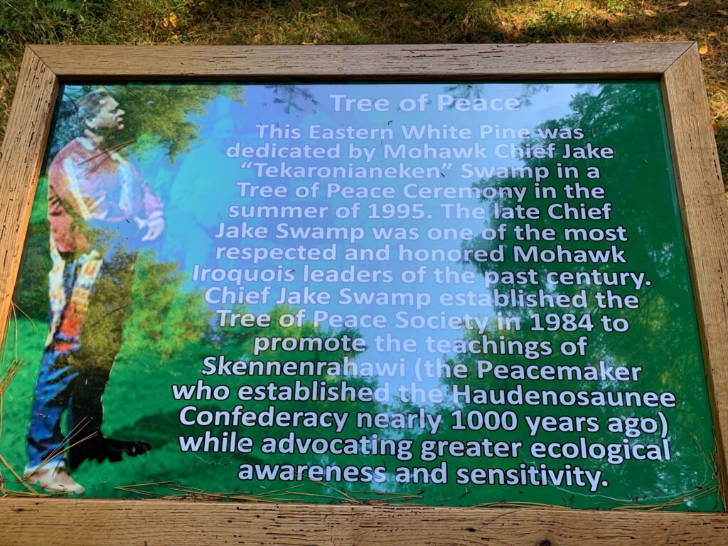 tree of peace plaque at cook forest state park
