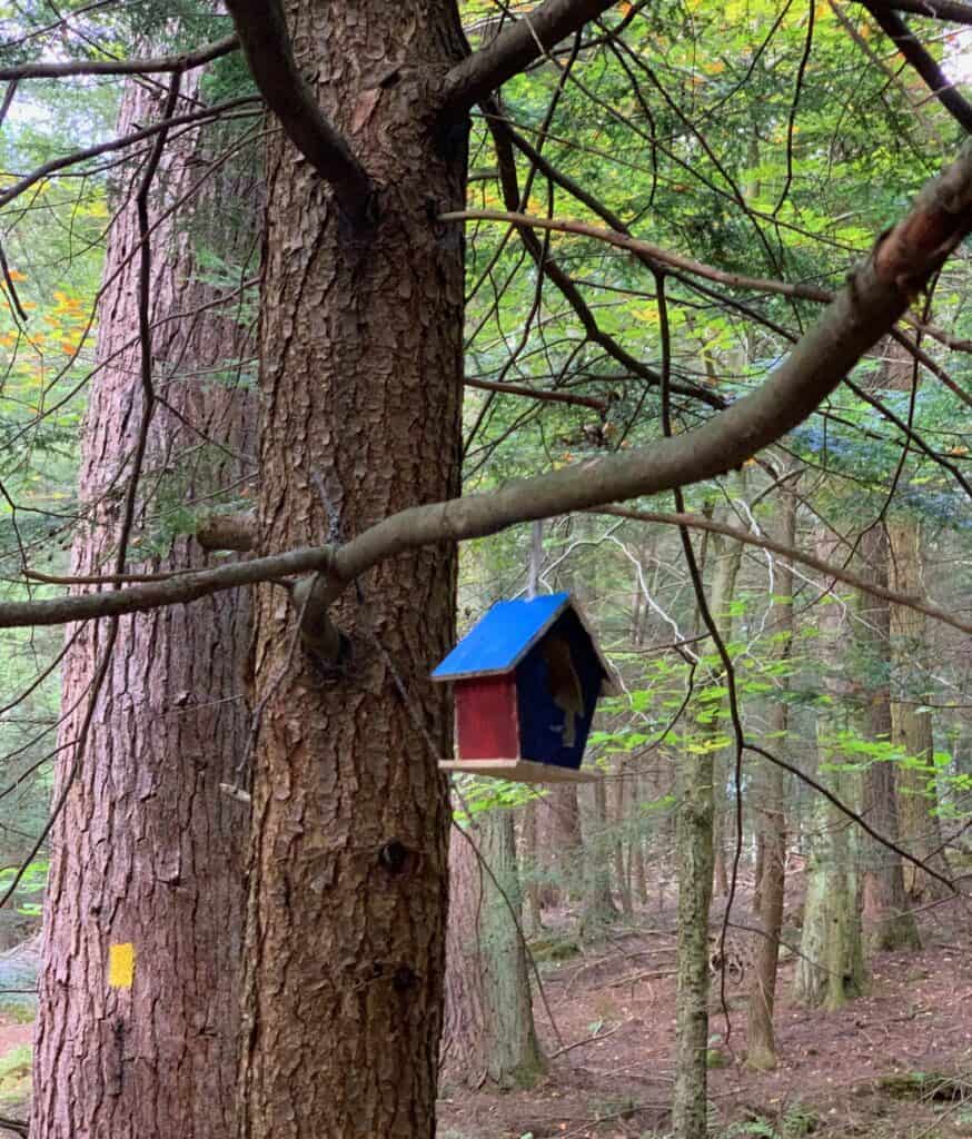 birdhouse in cook forest state park