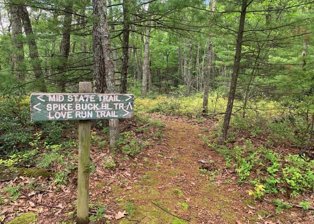 little pine state park trail sign in woods