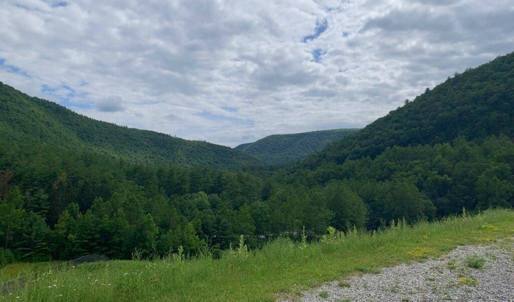 lake shore trail look back