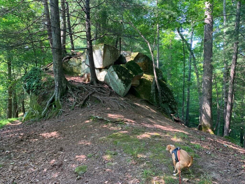 north bend state park hazel pooping