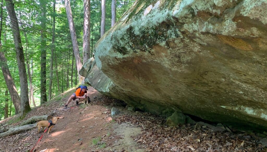 overlook trail at north bend state park under rock