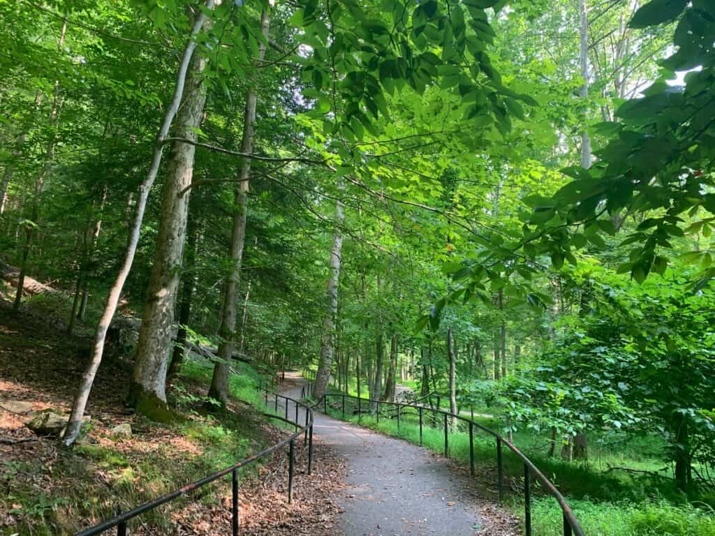 extra mile trail at north bend state park 2