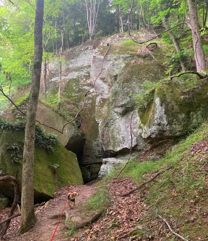 hazel at overhanging rock trail