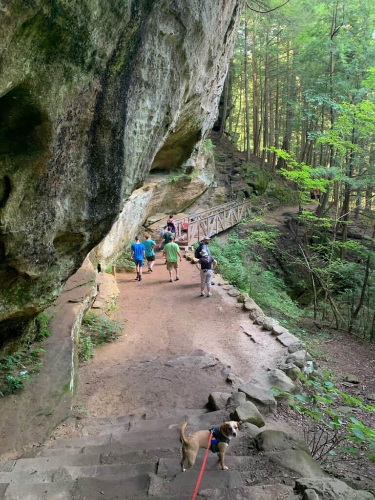 hazel checking out the crowd at hocking hills state park