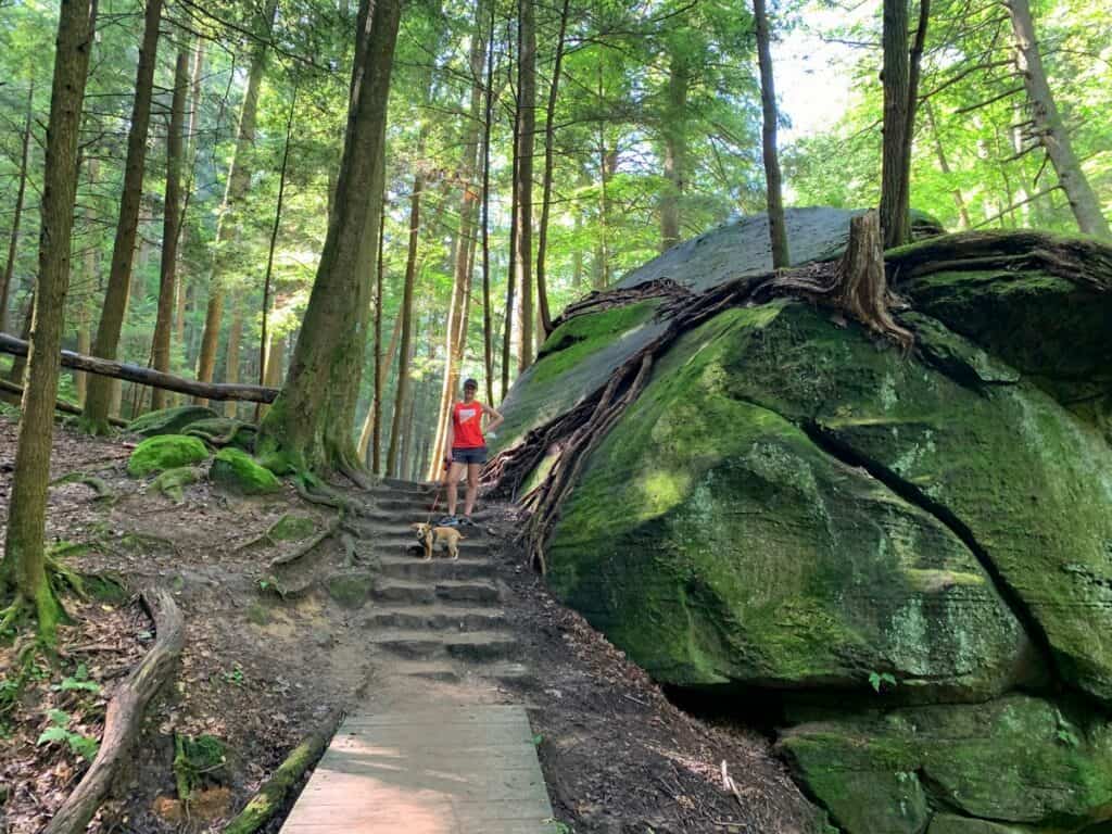 tree roots and rock stairs of hocking hills