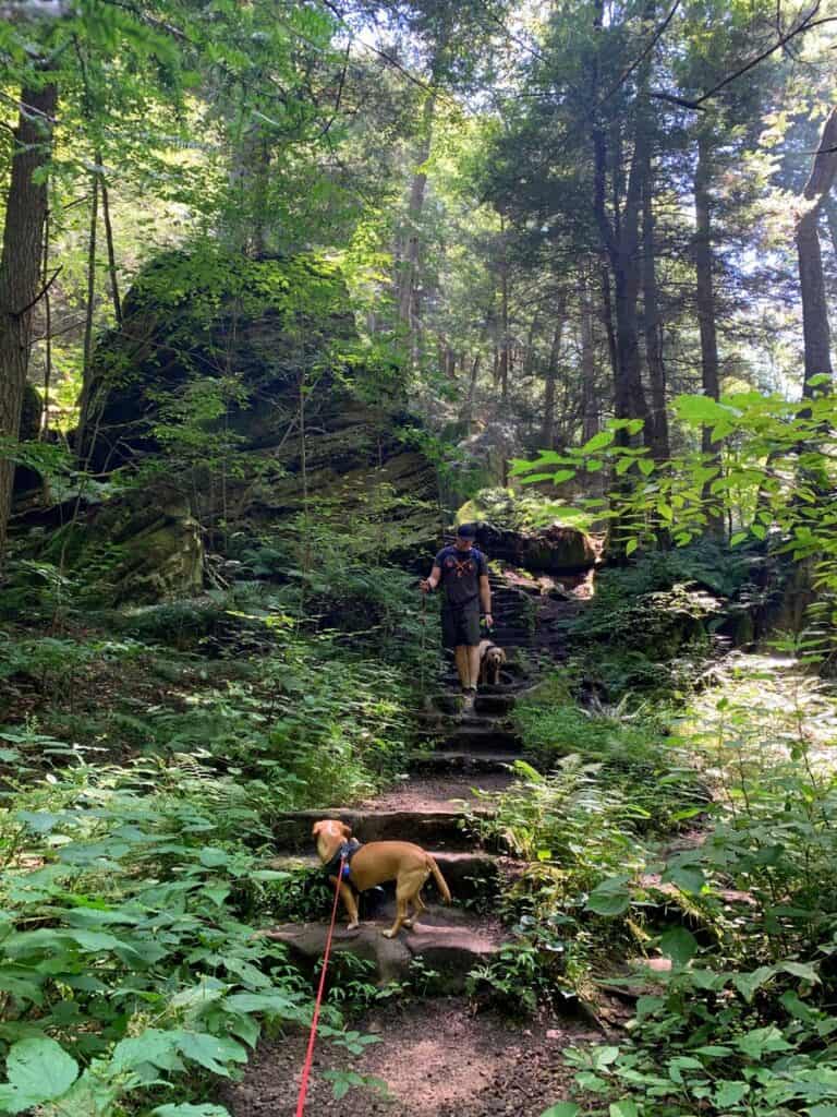 hocking hills blue trail