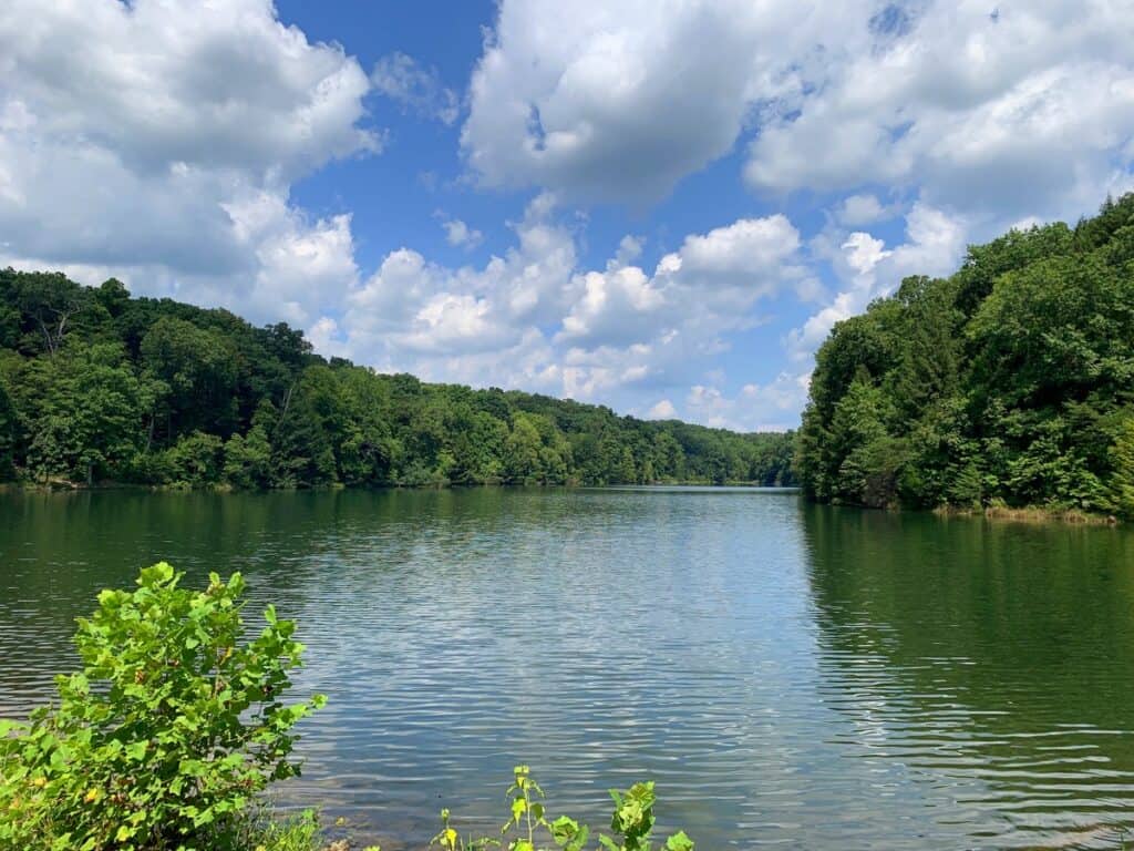 rose lake at hocking hills state park