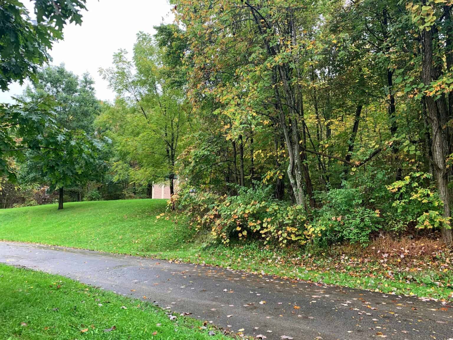 Trip Report: Keystone State Park in Pennsylvania - Road Trip Tails