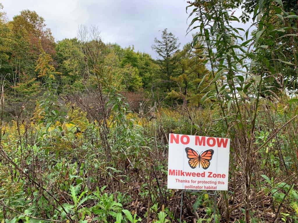 no mow in keystone state park