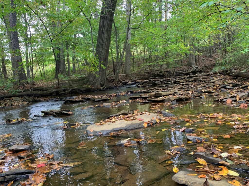 keystone state park amd system 6