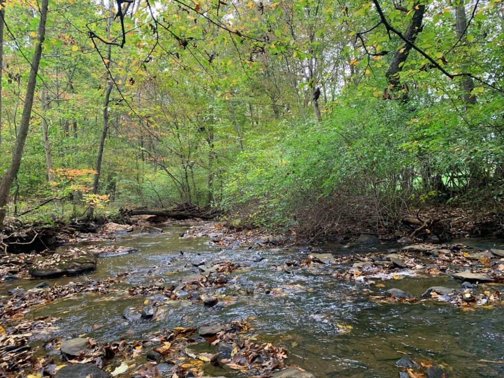 clean creek at keystone state park