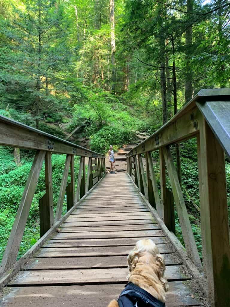 franklin at rock house in hocking hills