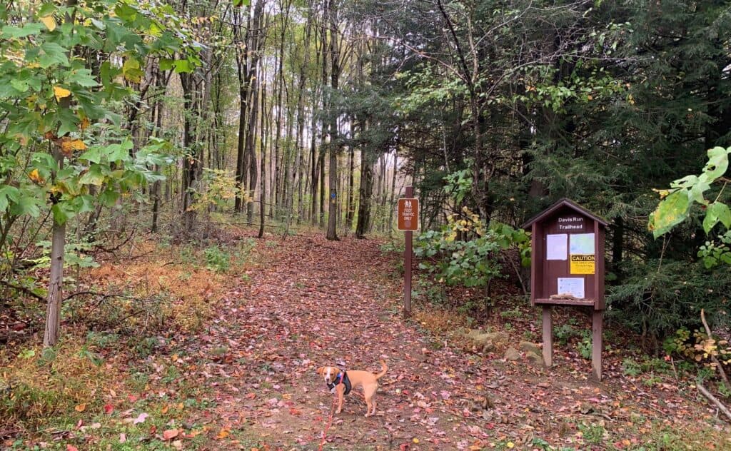 keystone state park trailhead with hazel