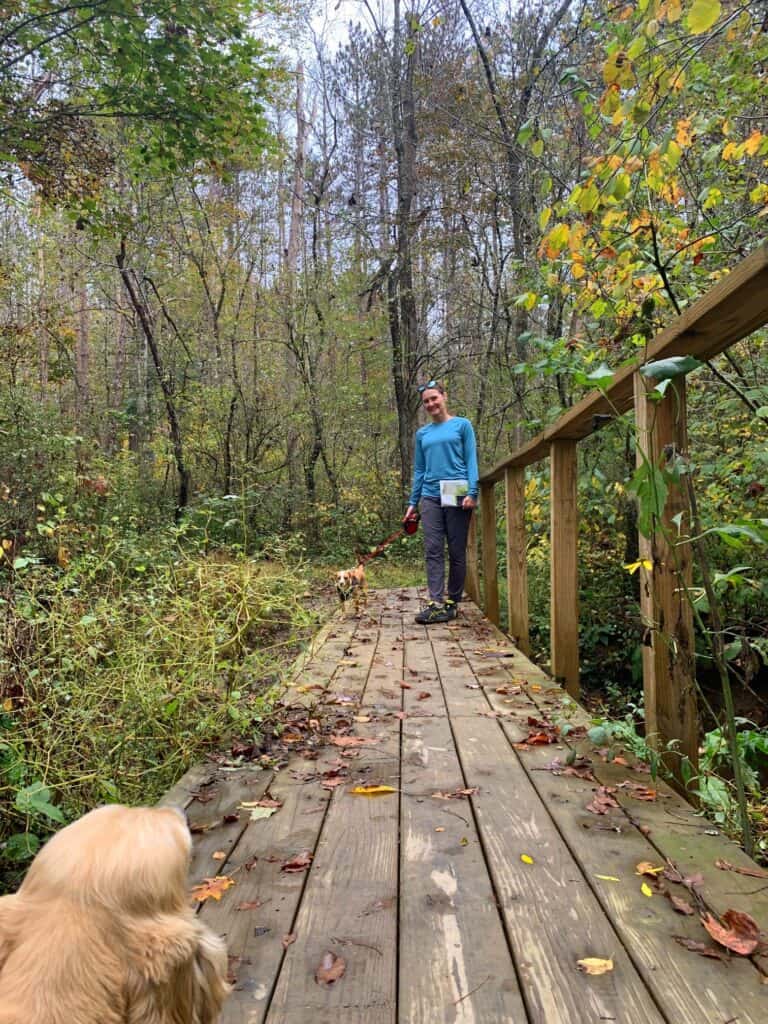 footbridge at keystone state park