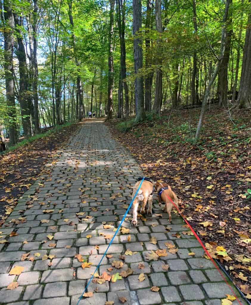 twin lakes park stone walkway