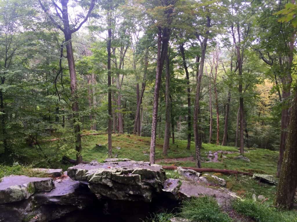 cunningham falls state park cliff trail