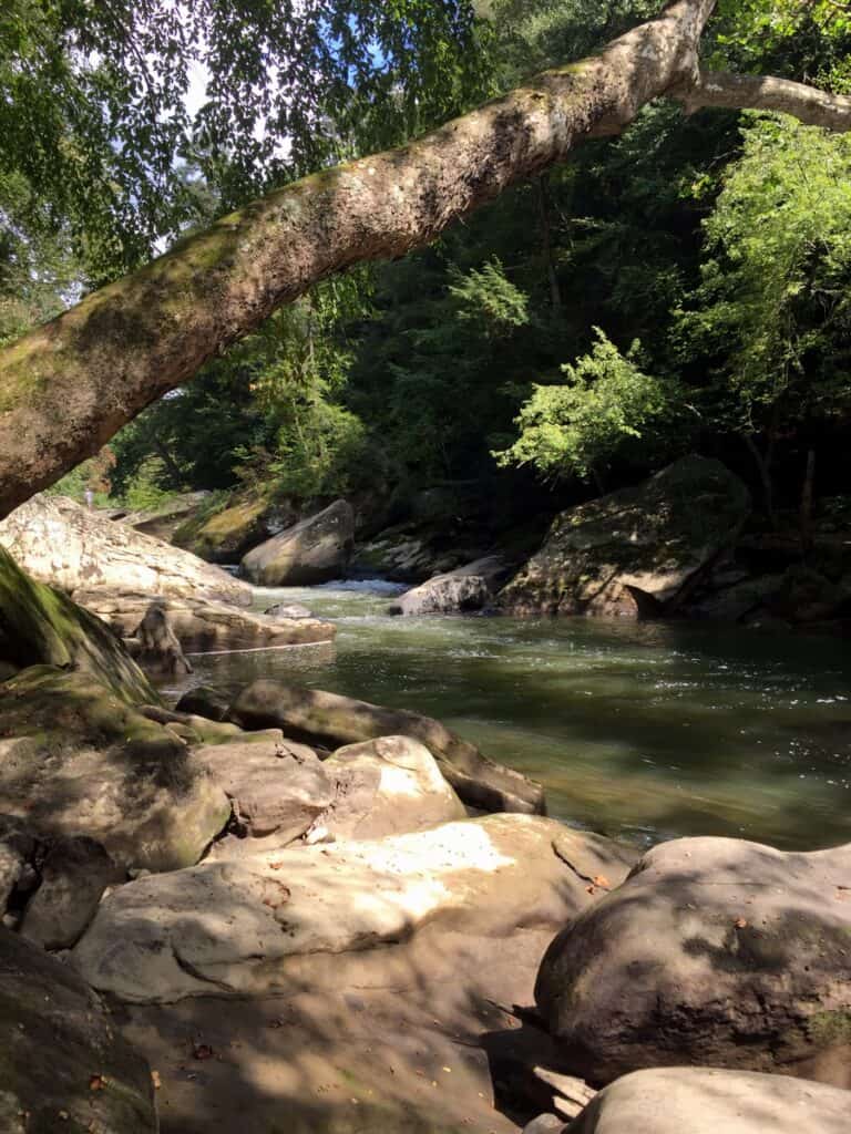 mcconnells mill state park side creek