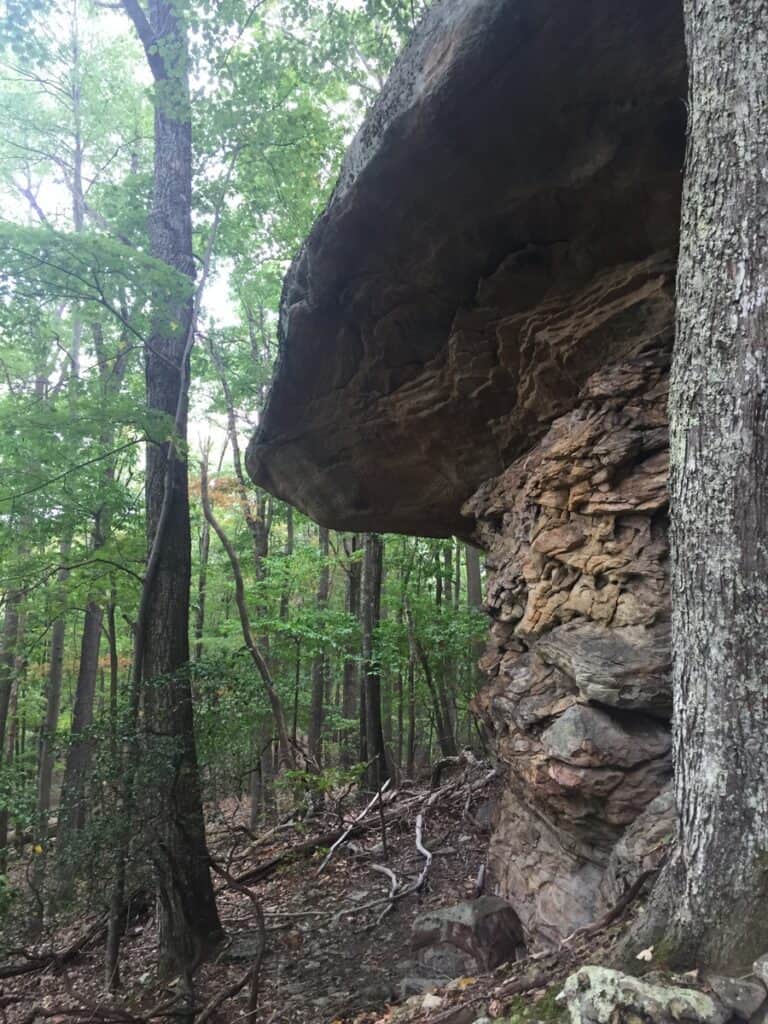 holly river state park high rock trail face