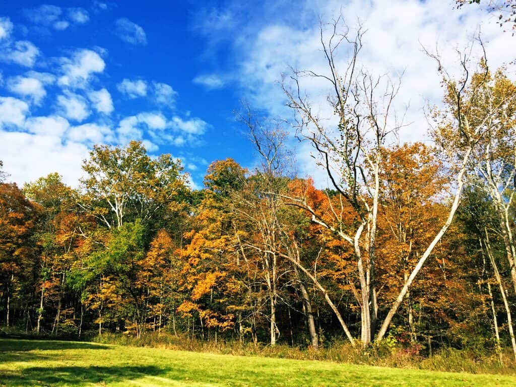 lake trail at raccoon creek state park