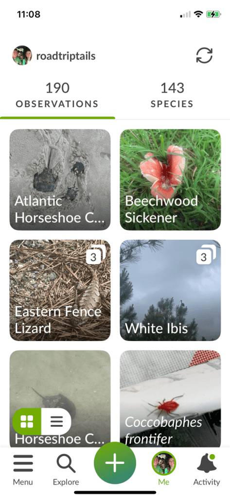 inaturalist app screen