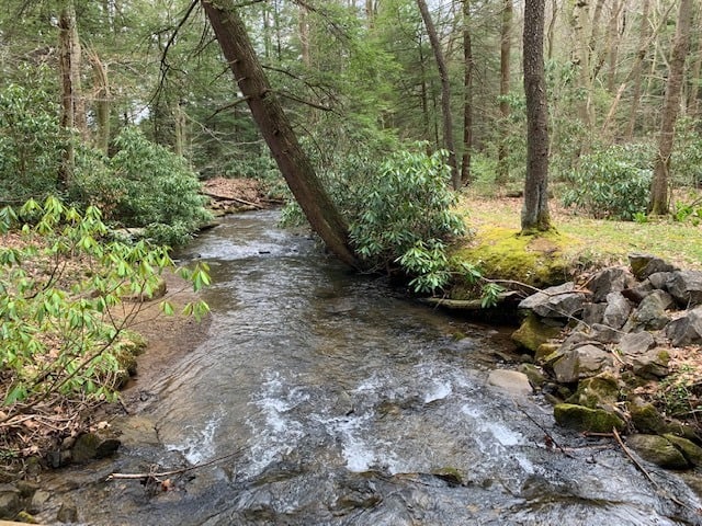 Kooser State Park Creek